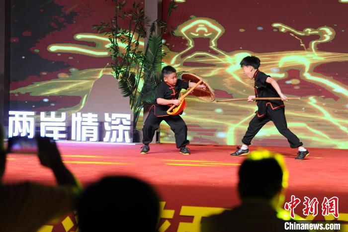 两岸武术爱好者共聚漳州 传统武术展演促进文化